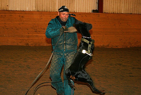 Training in Estonia 3/2007